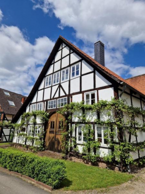 Kötterhof